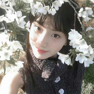 九辫妖狐