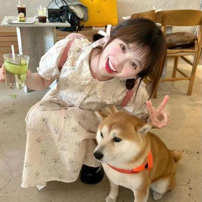 动画综艺