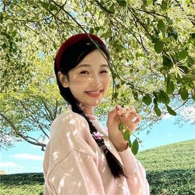 维希之眼